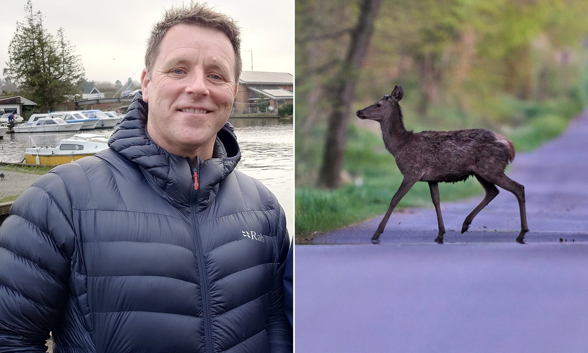 I hit a deer and it did £15,000 of damage Drivers warned of spring