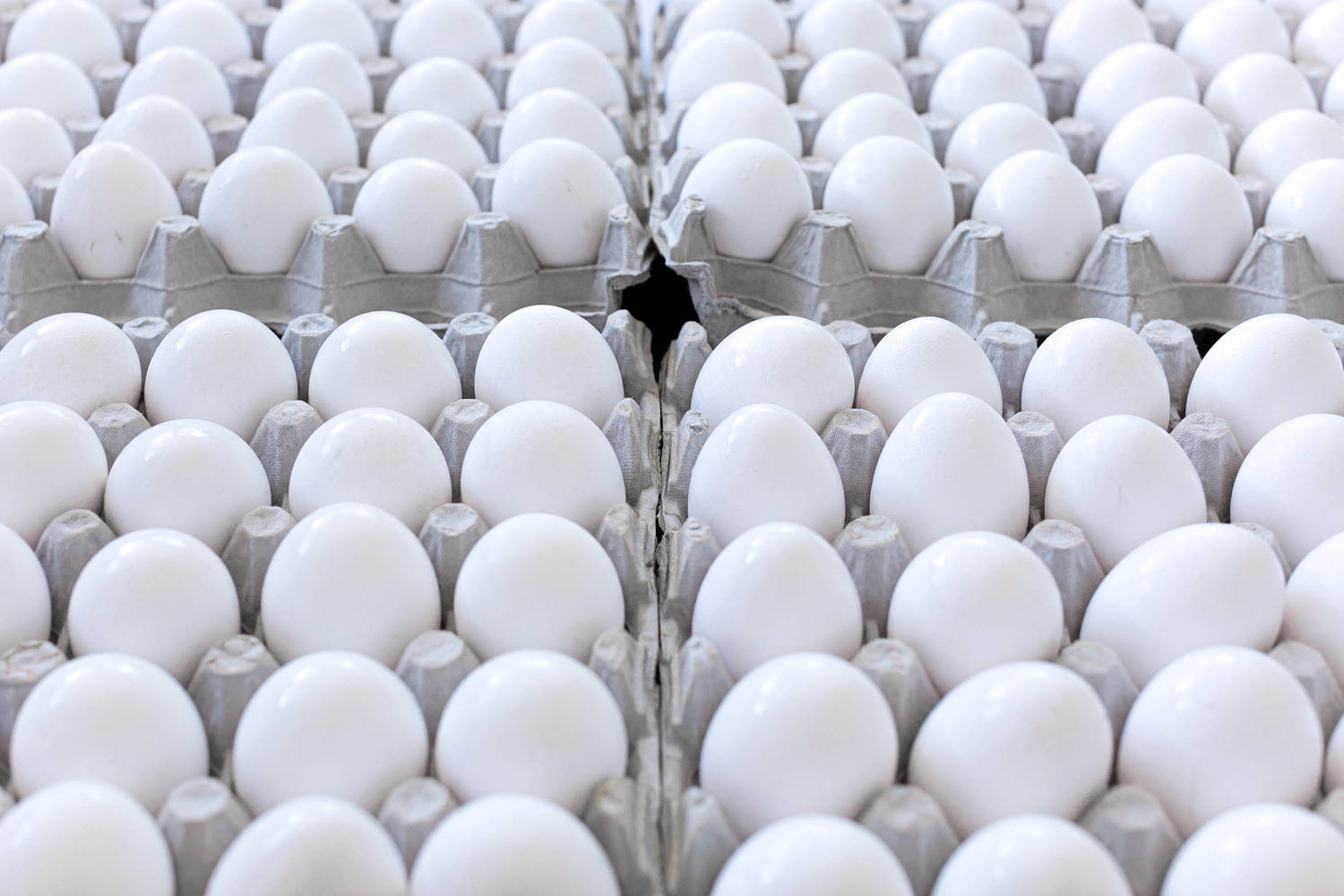 Egg prices drop for the first time in months