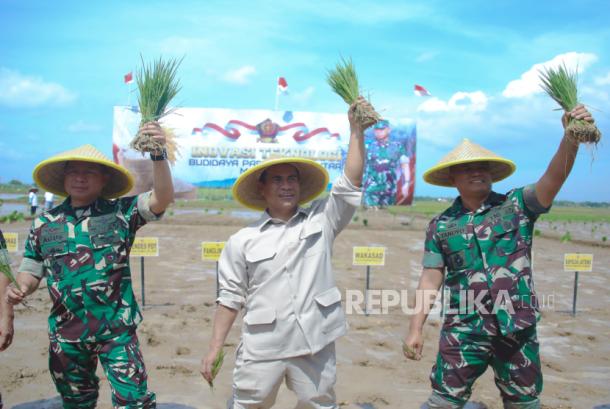 Amerika Laporkan RI di Puncak Produksi Beras, Menteri Pertanian Ungkap Kepemimpinan ASEAN 4 Amerika Laporkan RI di Puncak Produksi Beras, Menteri Pertanian Ungkap Kepemimpinan ASEAN