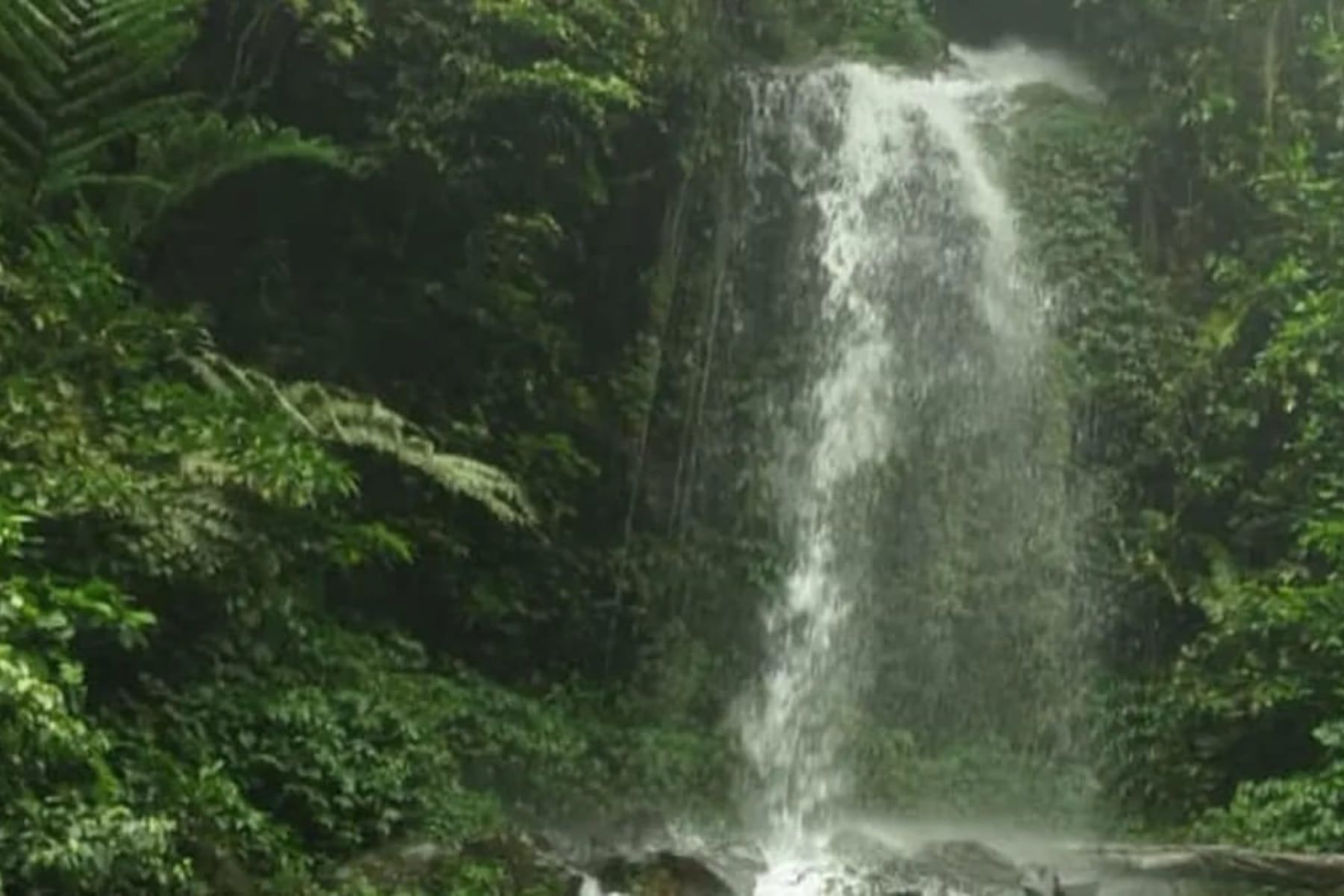 5 Air Terjun di Bogor: Tempat Perfekt Camping &amp; Menenangkan Jiwa