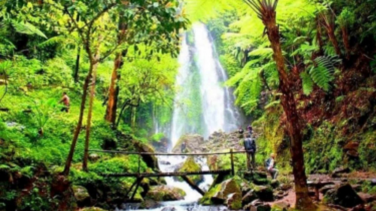 5 Air Terjun di Bogor: Tempat Perfekt Camping &amp; Menenangkan Jiwa