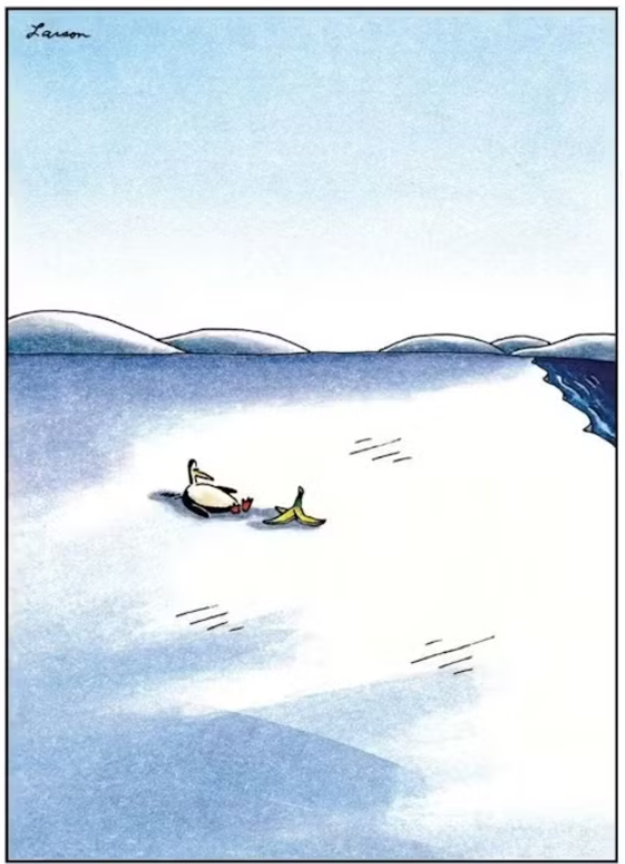 A penguin in the Antarctic has slipped on a banana peel in The Far Side.