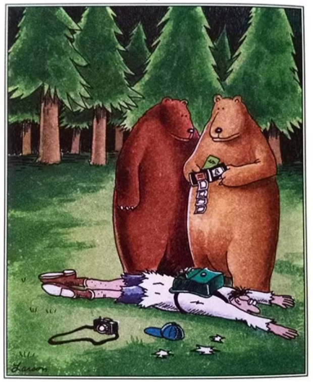 Bears mug a photographer in The Far Side.