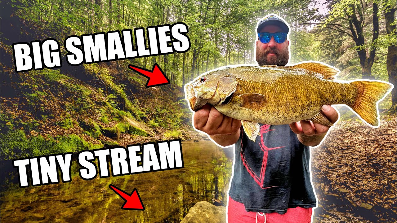 The Monster Smallmouth That Defied Expectations in Hidden Creek