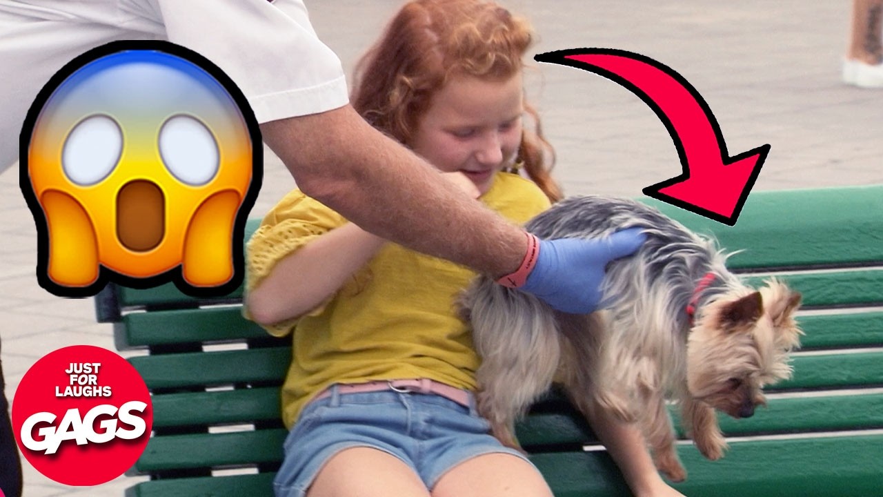 Crazy ёяш And Unhinged ёялг Prank Compilation Just For Laughs Gags