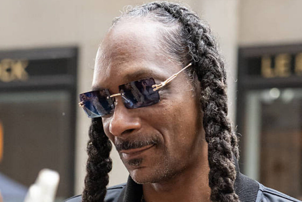 Snoop Dogg visual data 2