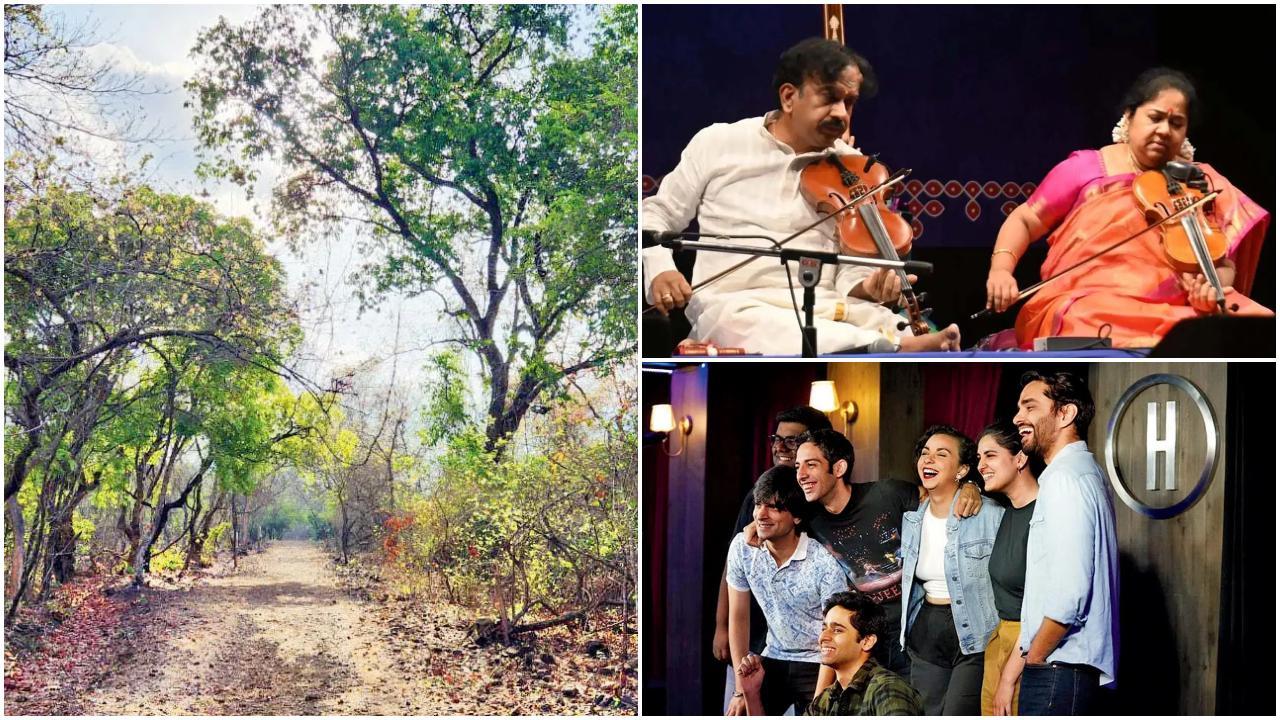 in-photos-explore-these-seven-activities-in-mumbai-this-weekend