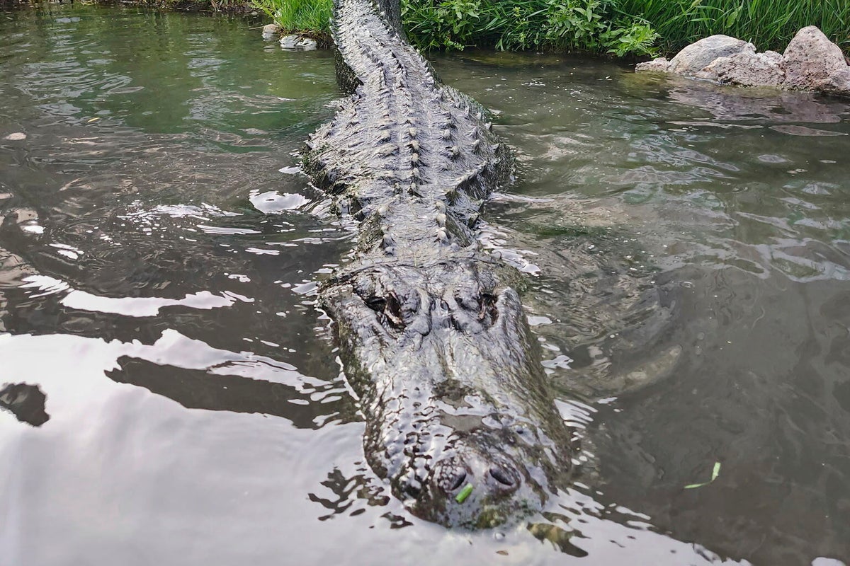 The Timeless Charm of Morris Chestnut: A Career Spanning Three Decades