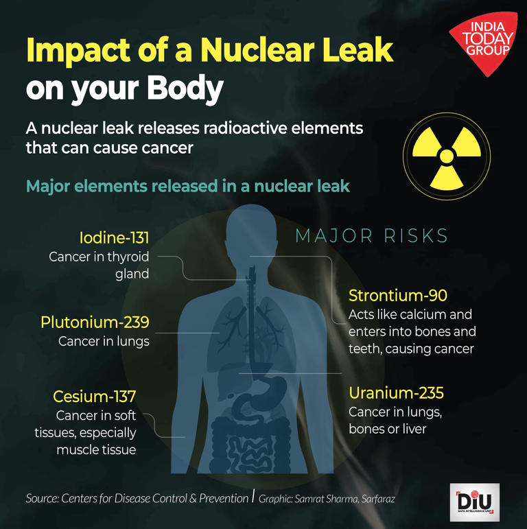 Why the possibility of a nuclear leak in Pakistan scared everyone!