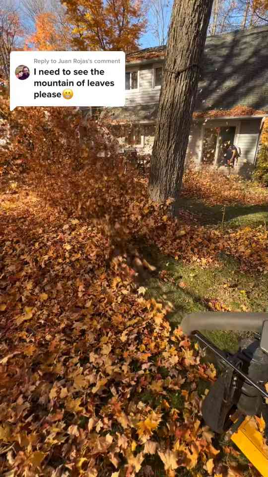 Common Lawn Care Mistakes to Avoid