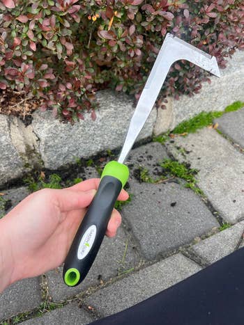 Hand holding a garden weeder tool with a green and black handle, suitable for removing weeds between pavement sections