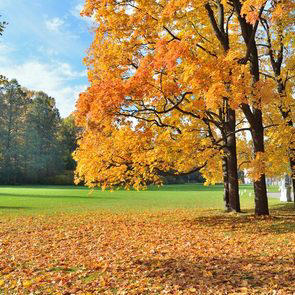 Here’s Why the U.S. Uses Fahrenheit vs. Celsius