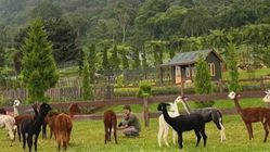 Terkenal dan Terbaik! 7 Wisata Bandung yang Harus Dikunjungi