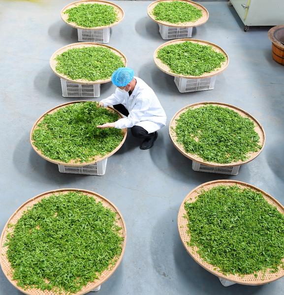 Robert Prevost's path to becoming Pope Leo XIV