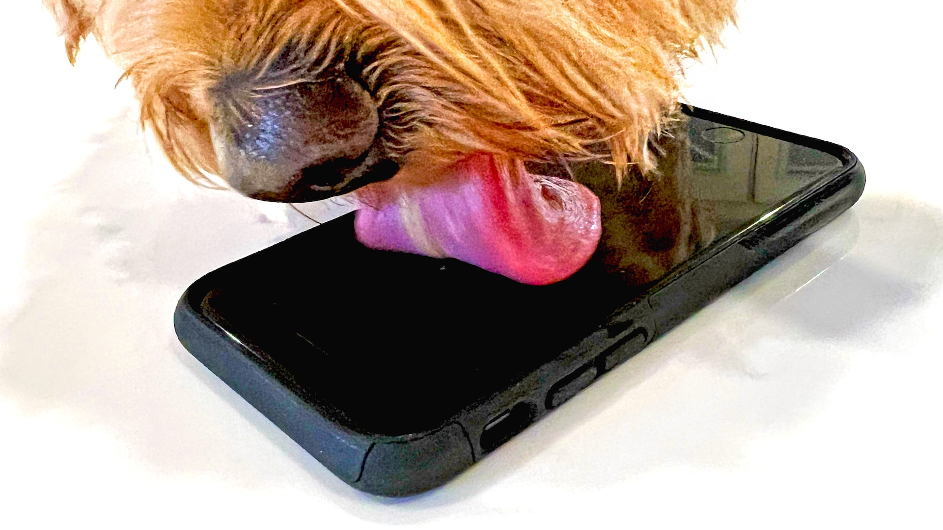 Can Your Cars Onboard Sterilizer Actually Clean a Smartphone?