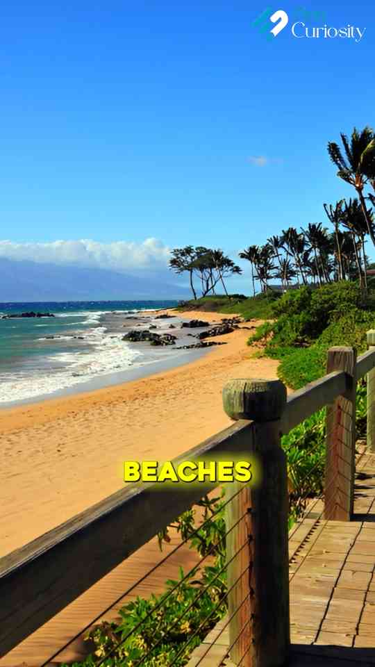 Where is The White Lotus Filmed?