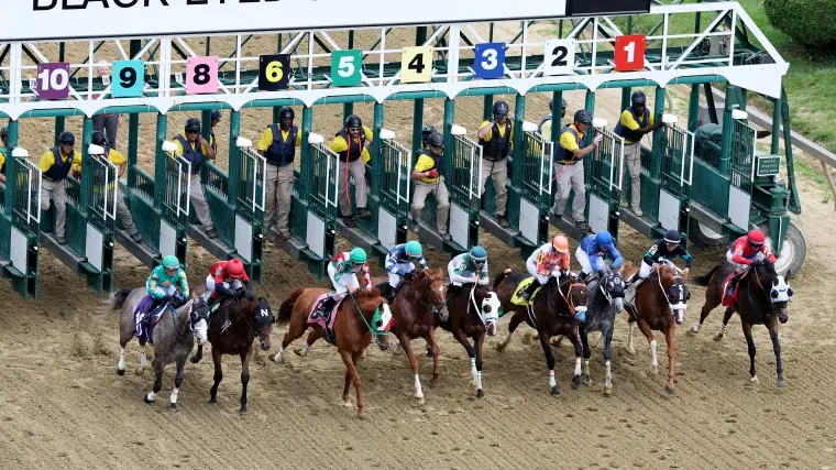 Preakness Stakes weather updates: Will rain in forecast impact Pimlico ...