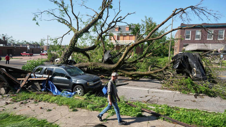 A large tree blocks a road after a severe storm moved through St. Louis on Friday. - Jeff Roberson/AP