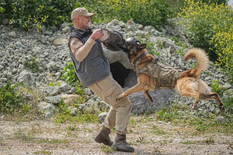 TOPLAM 12 FARKLI IRKTAN KÖPEK, MAYIN ARAMA, NARKOTİK VE DEVRİYE GÖREVİ GİBİ BİRÇOK NOKTADA KAHRAMAN MEHMETÇİK'E YARDIMCI OLUYOR.
