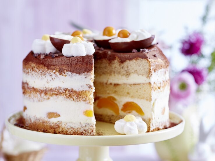 Beste Torten Rezepte: Die Aprikosen-Torte muss du einfach backen