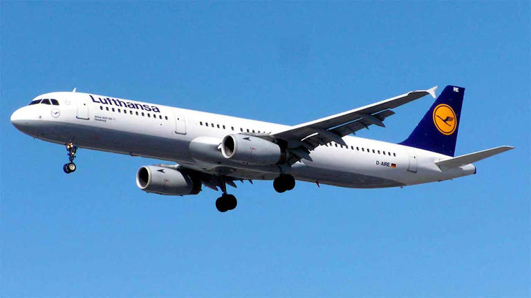 Lufthansa Airbus A321. Photo: Wikimedia