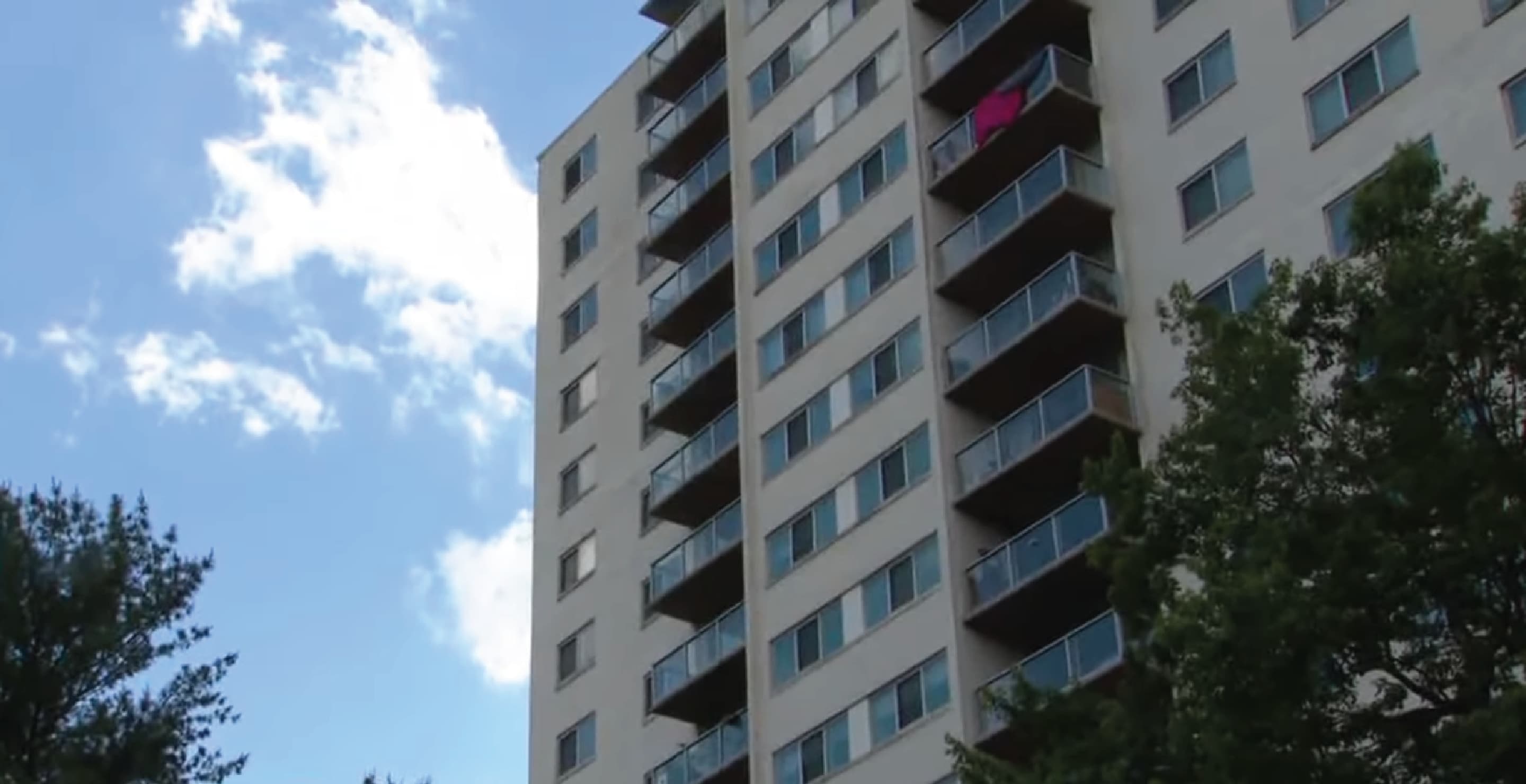 2YearOld Boy Survives 15Story Fall By Landing On Bushes