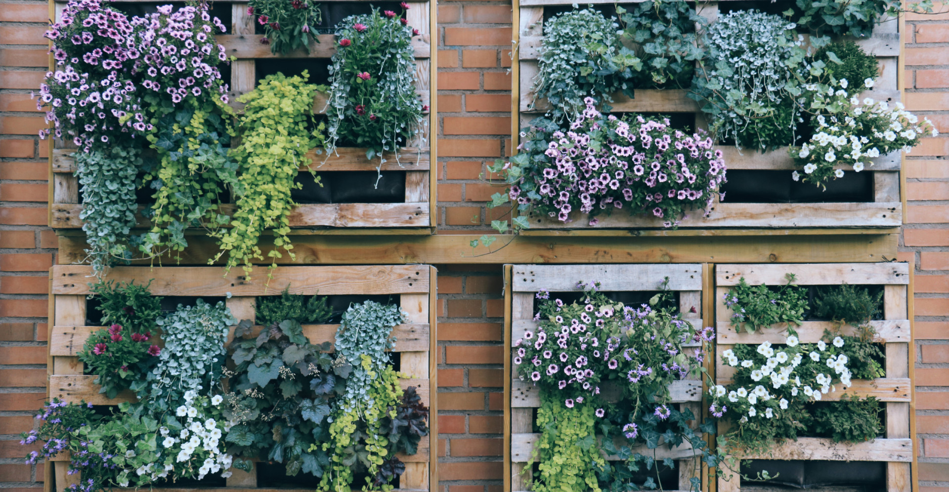 Inspirational Ideas To Create Your Dream Garden