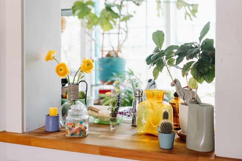 This Tiny Flower Might Be Sabotaging Your Garden Forever