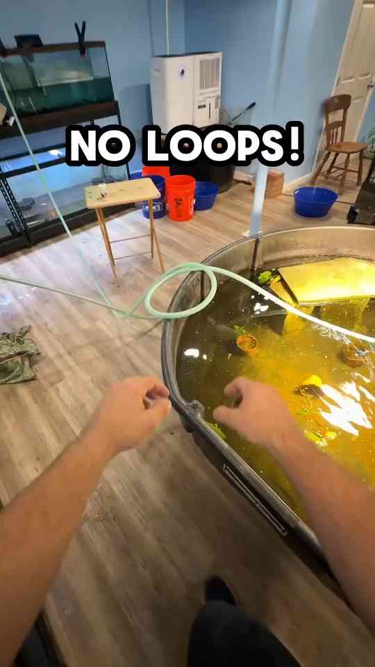 Why Loops Can Be a Problem in Your Setup