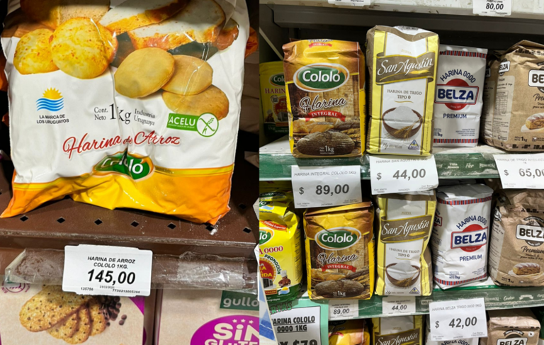 Harina apta / harinas no aptas