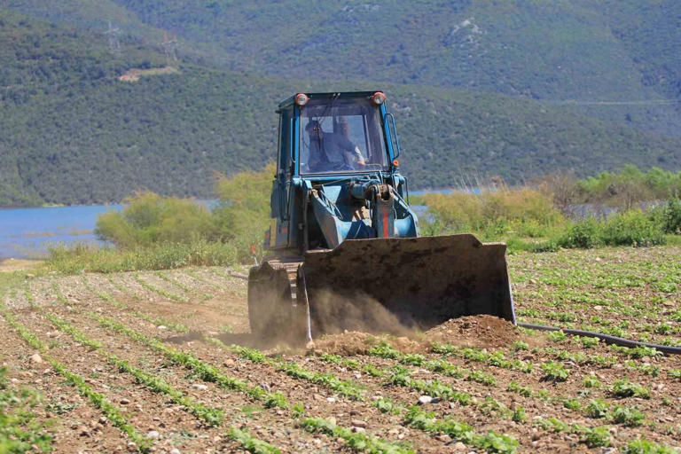 BURSA'NIN KESTEL İLÇESİNDEKİ GÖLBAŞI BARAJ GÖLÜ HAVZASINDA EKİLİ MARUL, MAYDANOZ, FASULYE GİBİ SEBZE EKİLİ ARAZİLERİ İŞ MAKİNELERİYLE DÜZLEDİ.