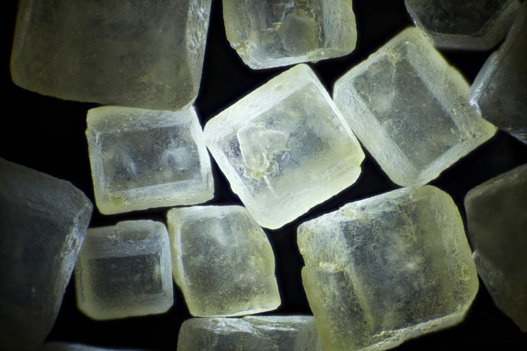 21 mind-blowing microscopic images of everyday objects