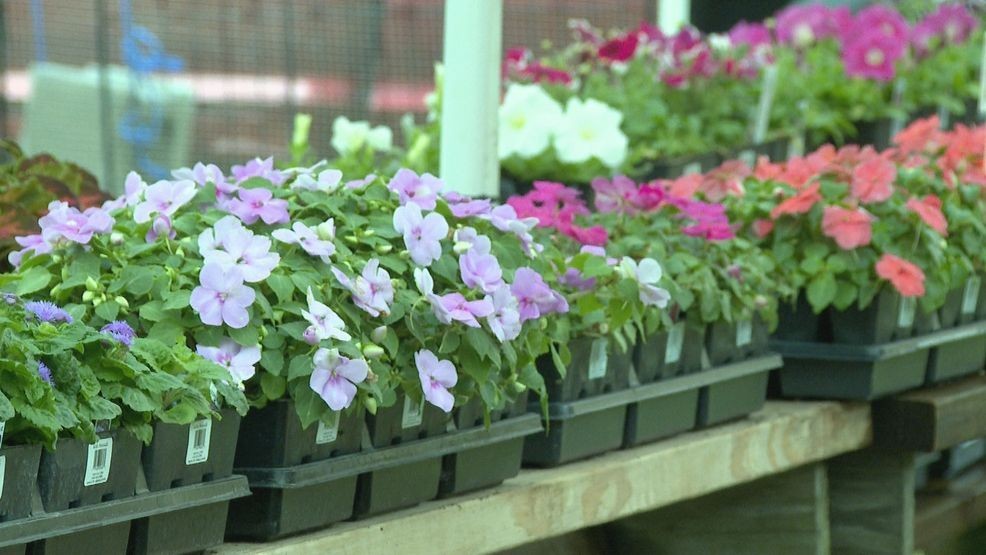 Florists Face Tariff Challenges But Strive To Keep Prices Steady For