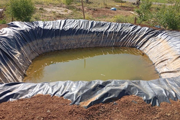 From drought to hope: A Moroccan village's green revival through collective action