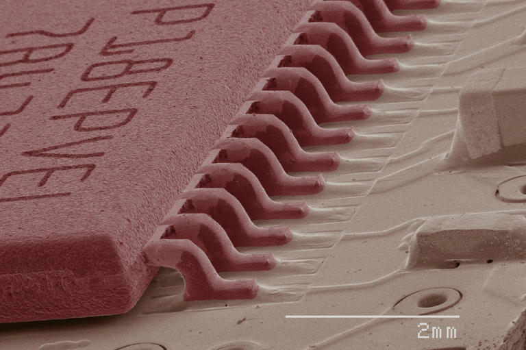 21 mind-blowing microscopic images of everyday objects