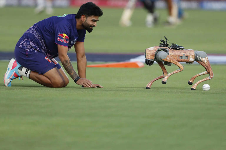 Meet 'Champak' IPL's viral robot dog that's winning hearts and