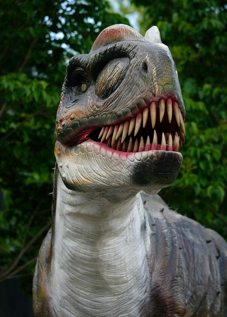 Hear them roar. DinoTrek returning to the Akron Zoo this summer 🦖