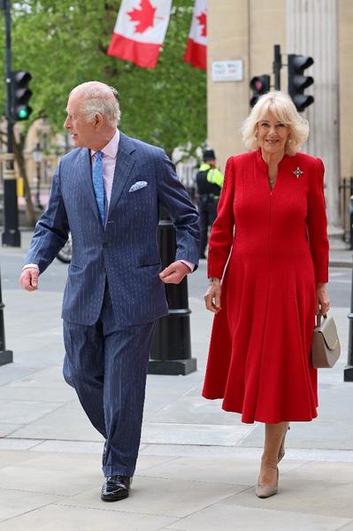 7 countries to spot king cobra, world’s longest venomous snake