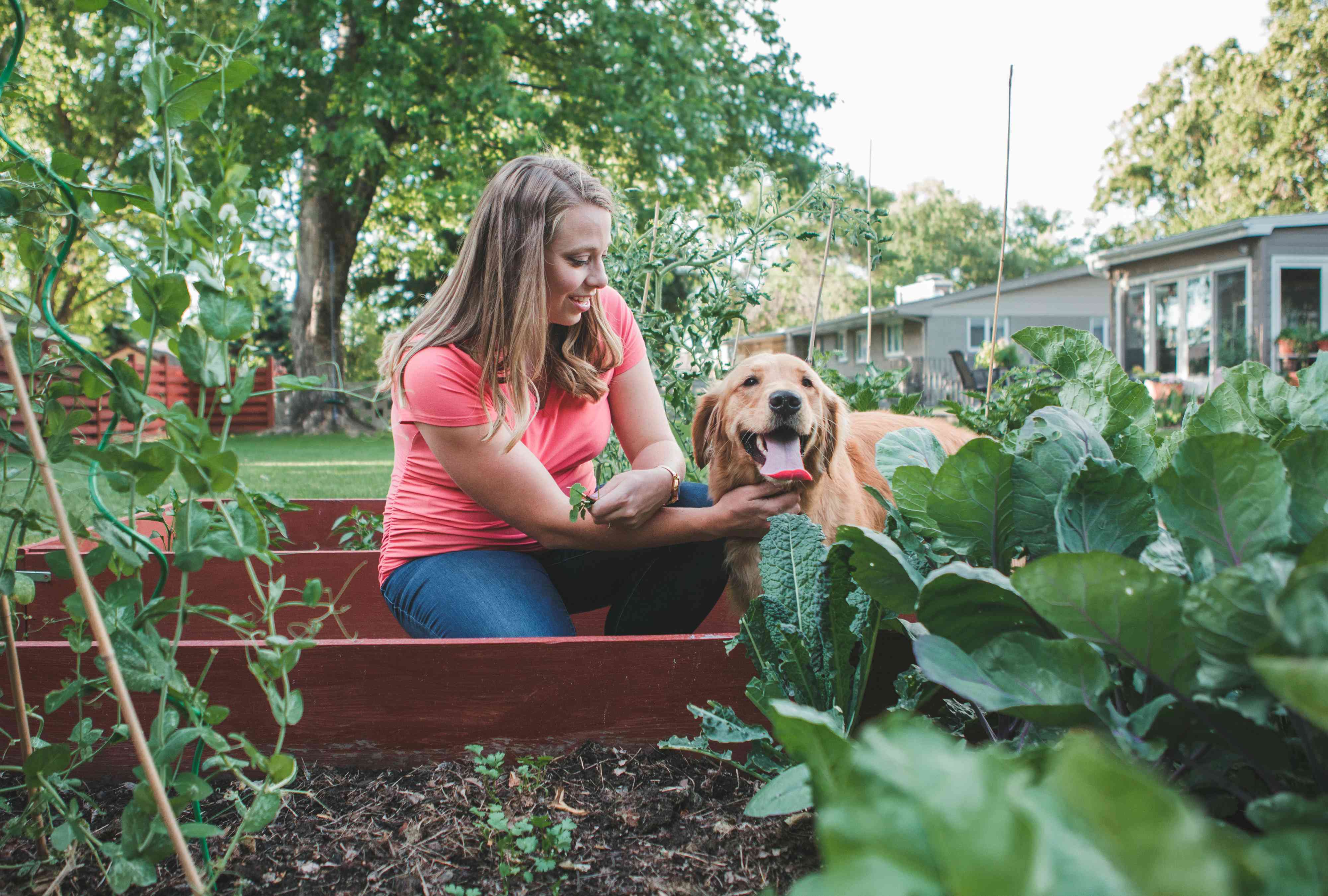 how-to-start-a-pet-friendly-garden-without-sacrificing-beauty