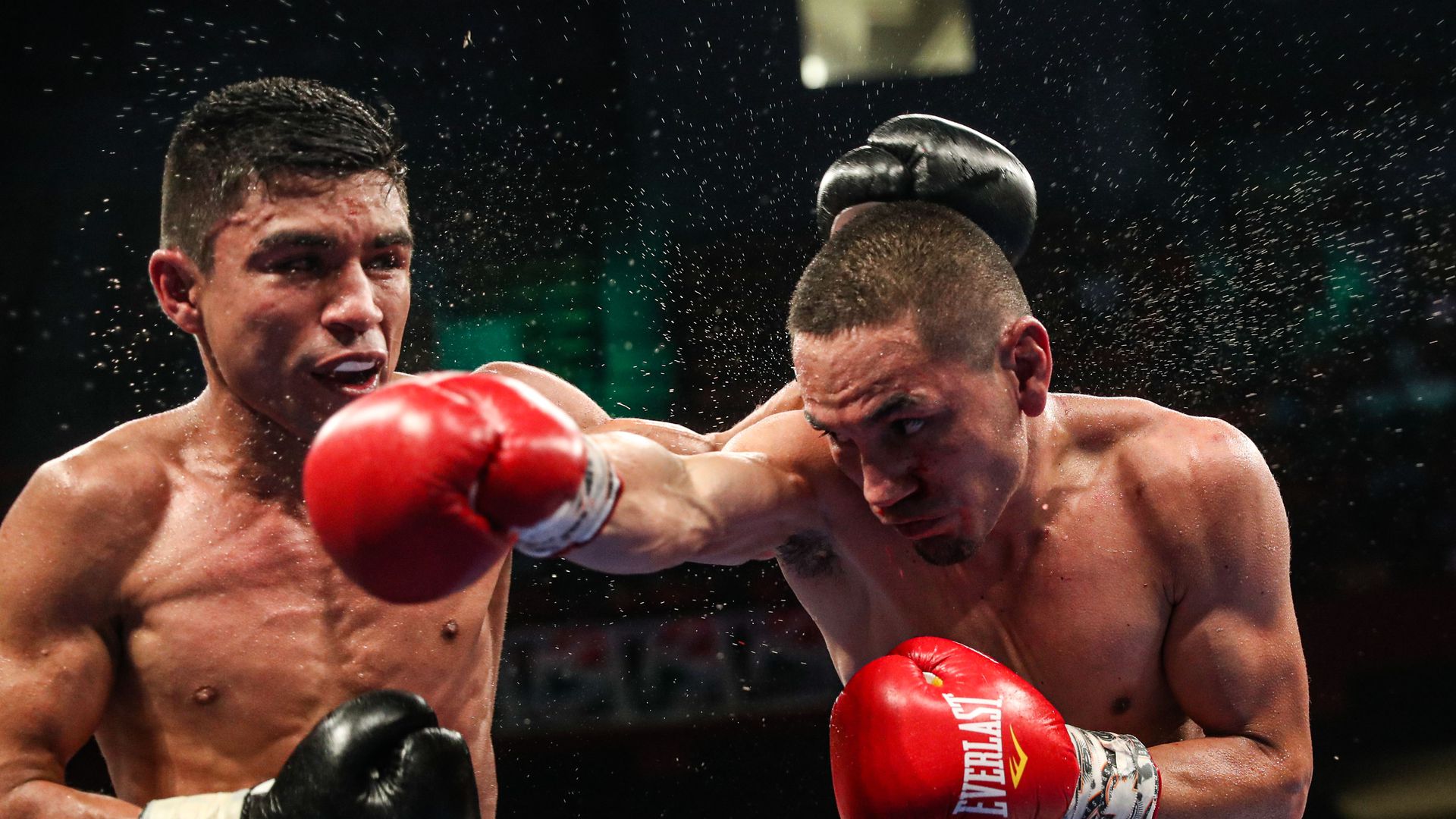 Andrew Moloney vs. Willibaldo Garcia for IBF Super-Flyweight Championship