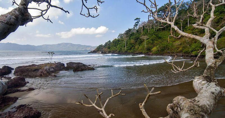 11 Tempat Wisata di Banyuwangi, Pesonanya Bikin Pengen Balik Lagi!