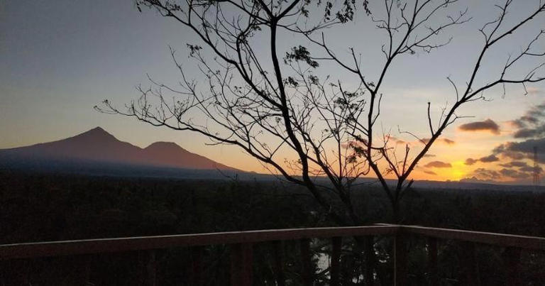 11 Tempat Wisata di Banyuwangi, Pesonanya Bikin Pengen Balik Lagi!