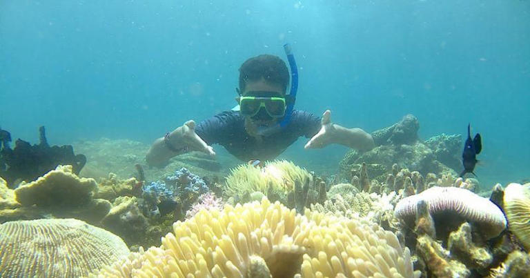 11 Tempat Wisata di Banyuwangi, Pesonanya Bikin Pengen Balik Lagi!
