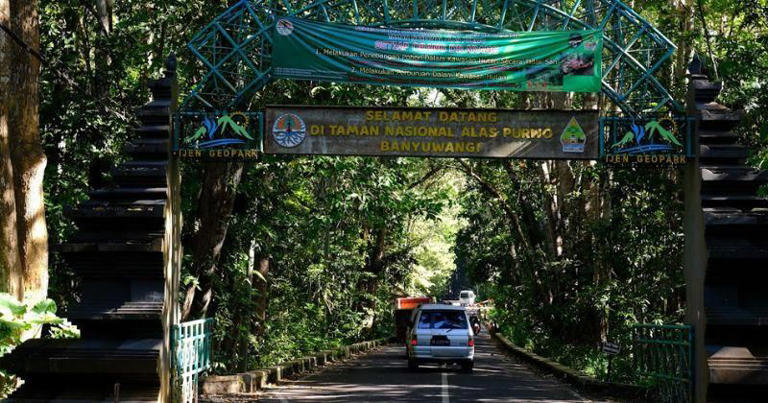 11 Tempat Wisata di Banyuwangi, Pesonanya Bikin Pengen Balik Lagi!