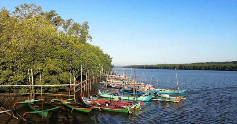 11 Tempat Wisata di Banyuwangi, Pesonanya Bikin Pengen Balik Lagi!