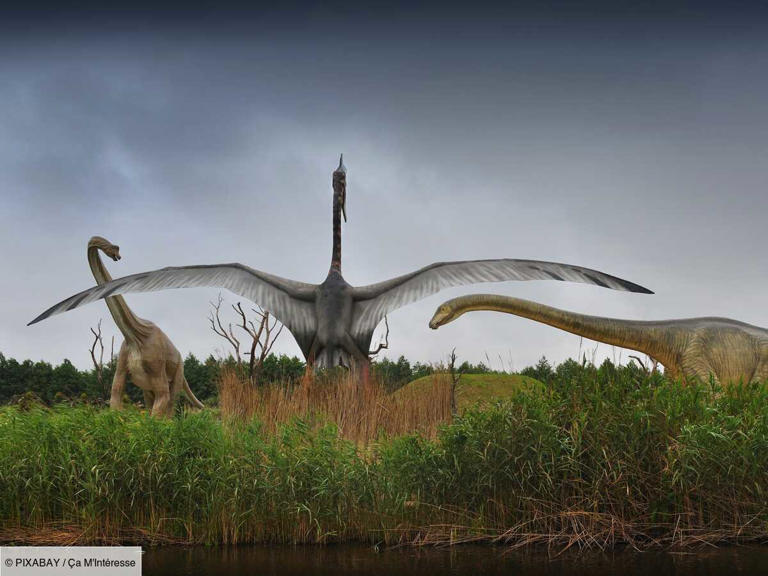 Quelles sont les 4 périodes de la préhistoire ?