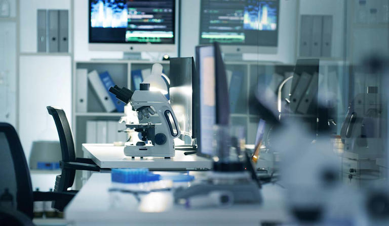 New brain study reveals adolescence ends a lot later than you think