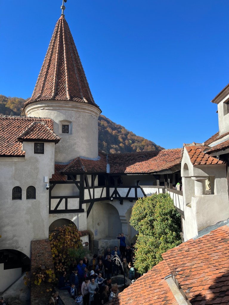 14 American Sports Teams With Mascots That Are Truly Baffling to Outsiders