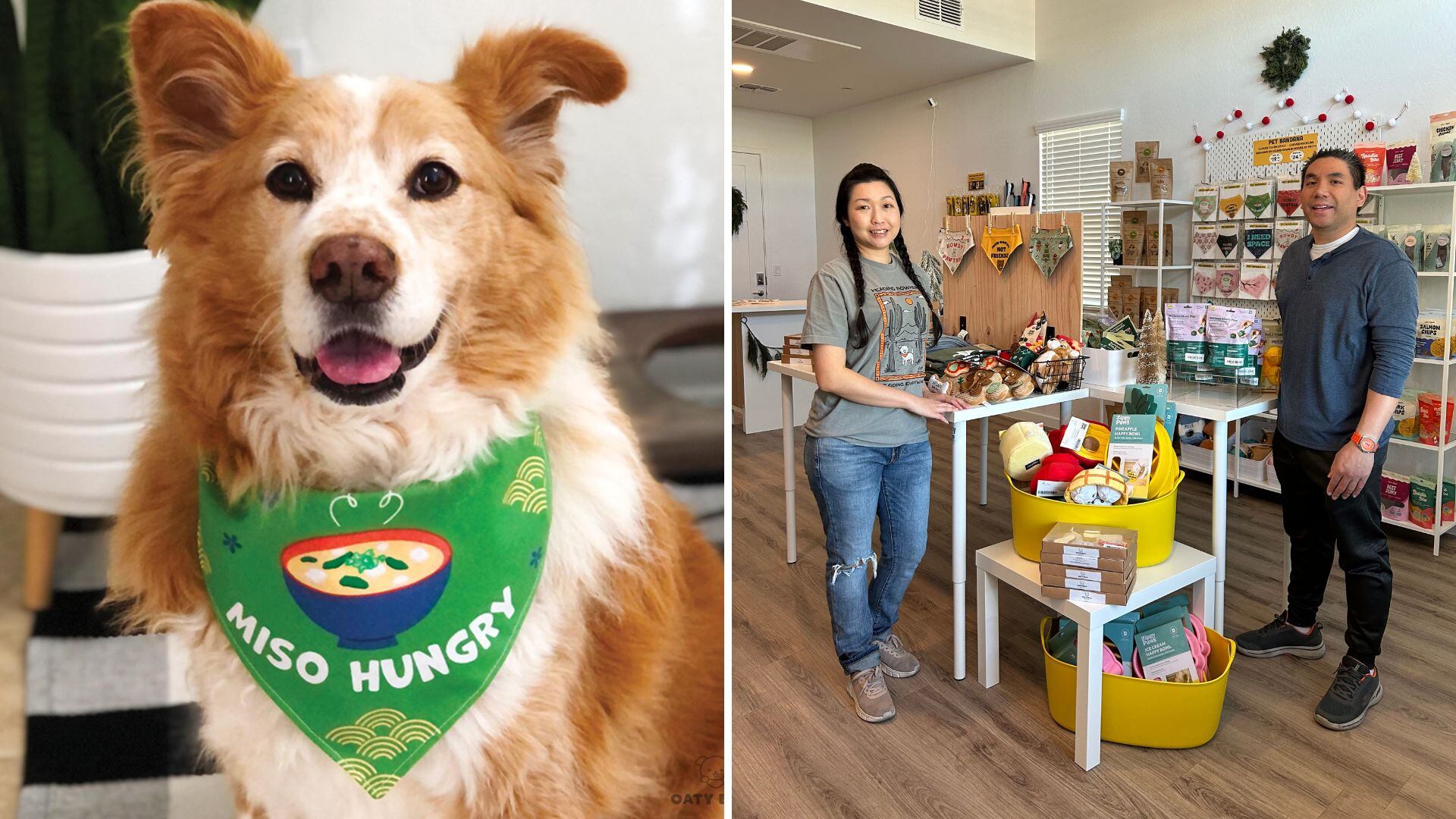 First AAPI-owned dog boutique opens in Tempe with Asian-inspired ...