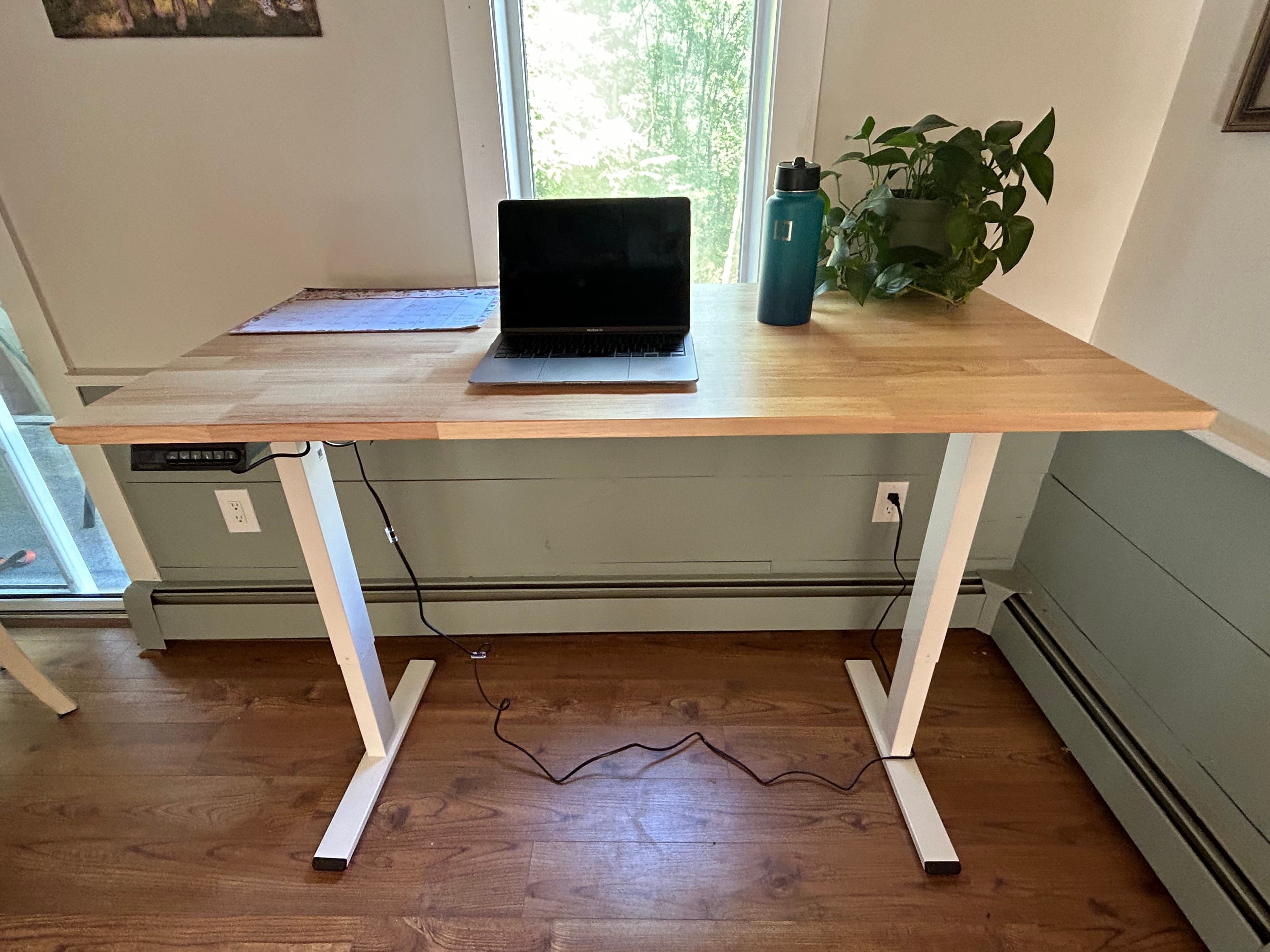 the flexispot standing desk in front of a window, shown with a laptop, water bottle, and plant on top